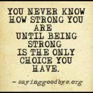 Meet your Posher, Chandra